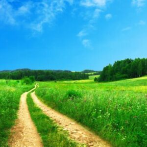 Ochrana přírody, krajiny a biodiverzity