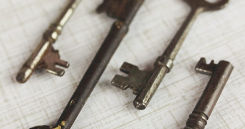 Majetkové vztahy obce a příspěvkové organizace