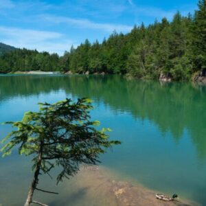 Tvorba územních systémů ekologické stability