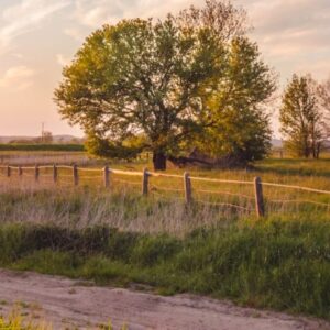 Zákon o ochraně zemědělského půdního fondu
