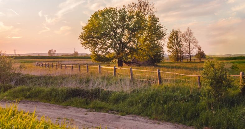 Zákon o ochraně zemědělského půdního fondu