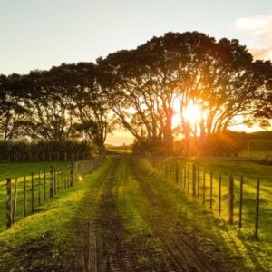 Zákon o ochraně přírody a krajiny