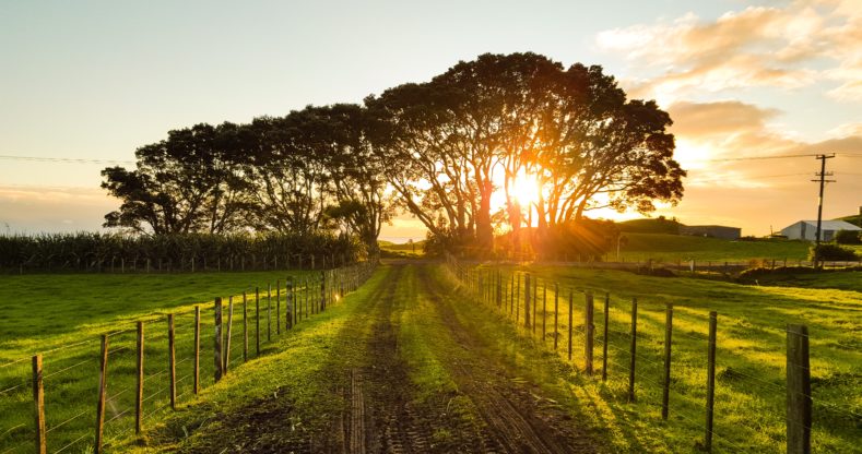 Zákon o ochraně přírody a krajiny